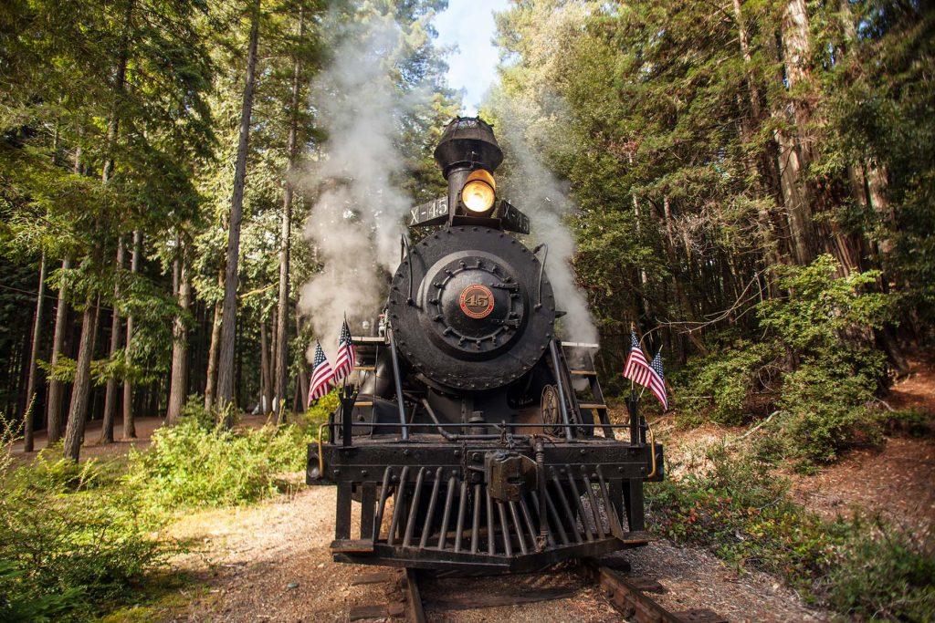 The Skunk Train of Willits and Fort Bragg