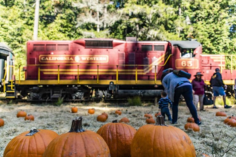 Pumpkin Express