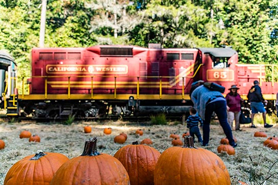 Pumpkin Express