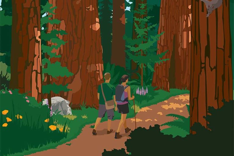 Home - World-Famous Skunk Train