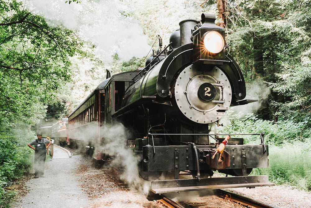 SKunk Train + Steam Engine