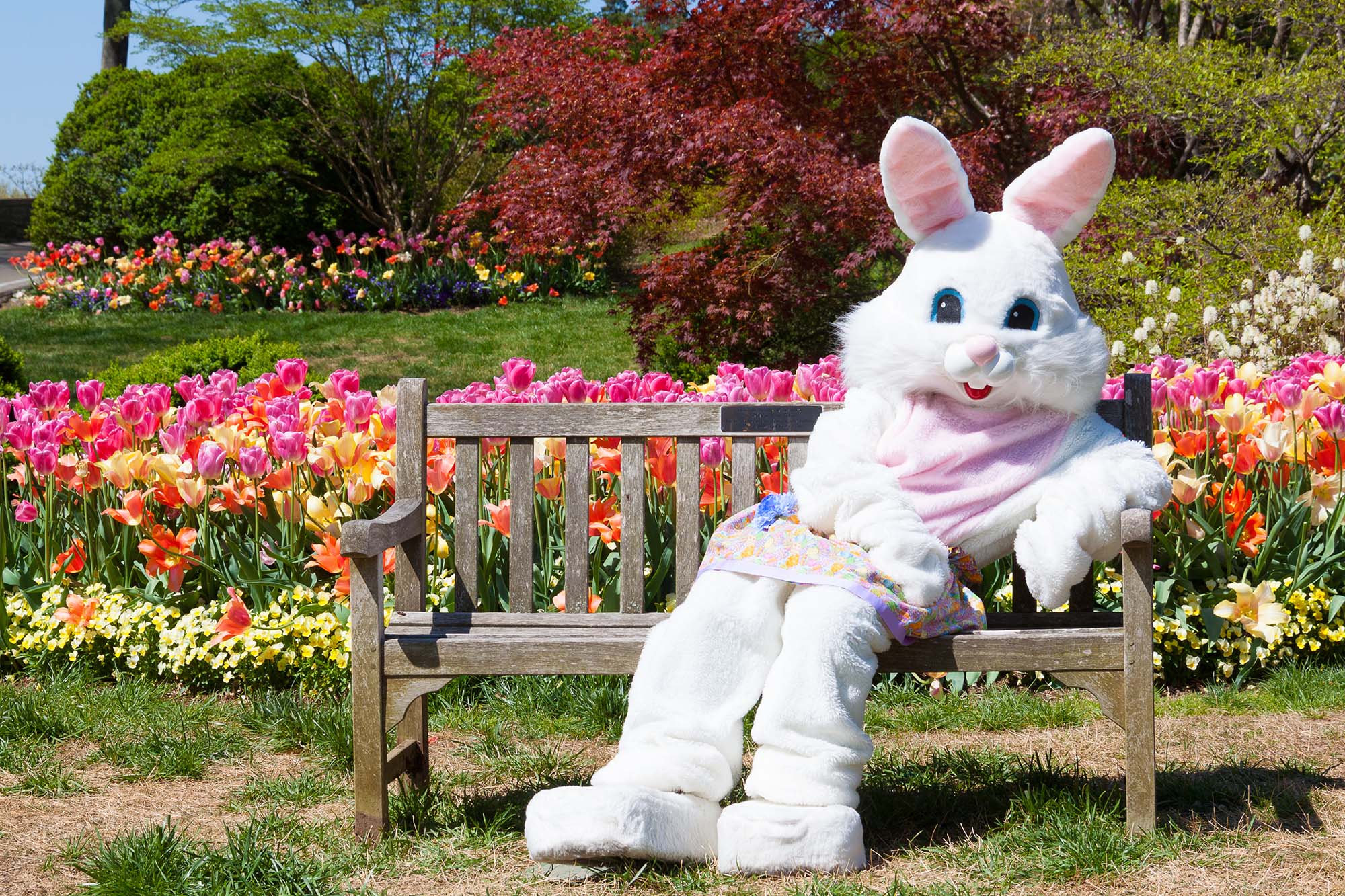 Easter Bunny