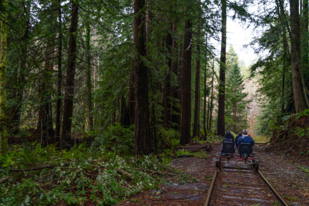 Little Grunts Railbikes in the Redwoods on the Skunk Train