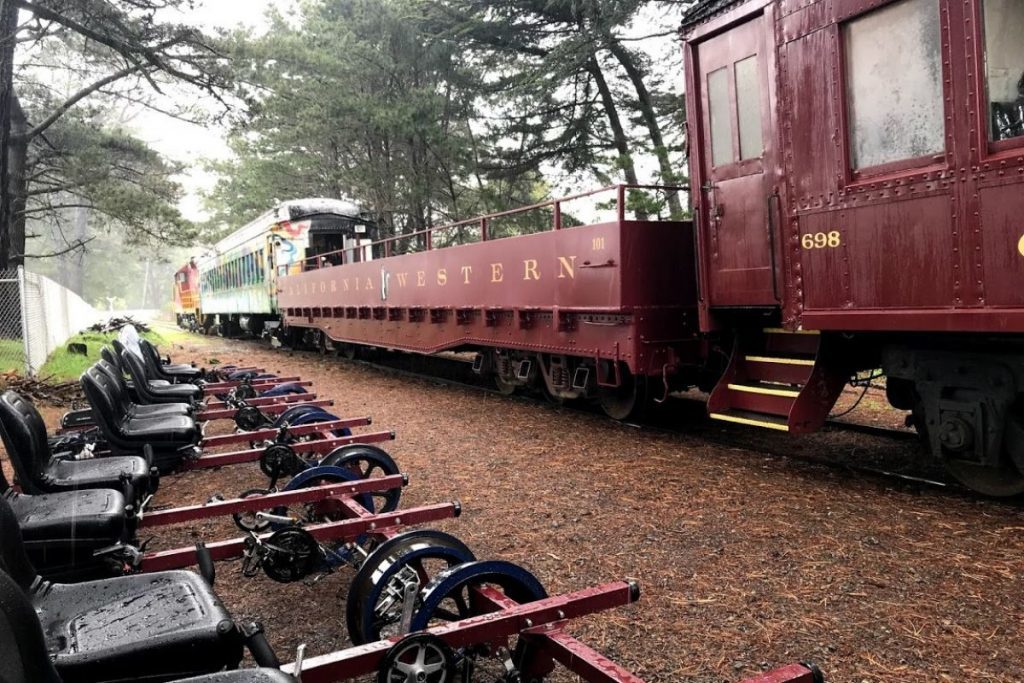 Skunk Train Passing by the Railbikes