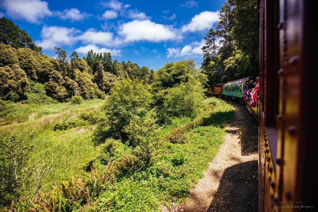 View of the Pudding Creek from the Skunk Train