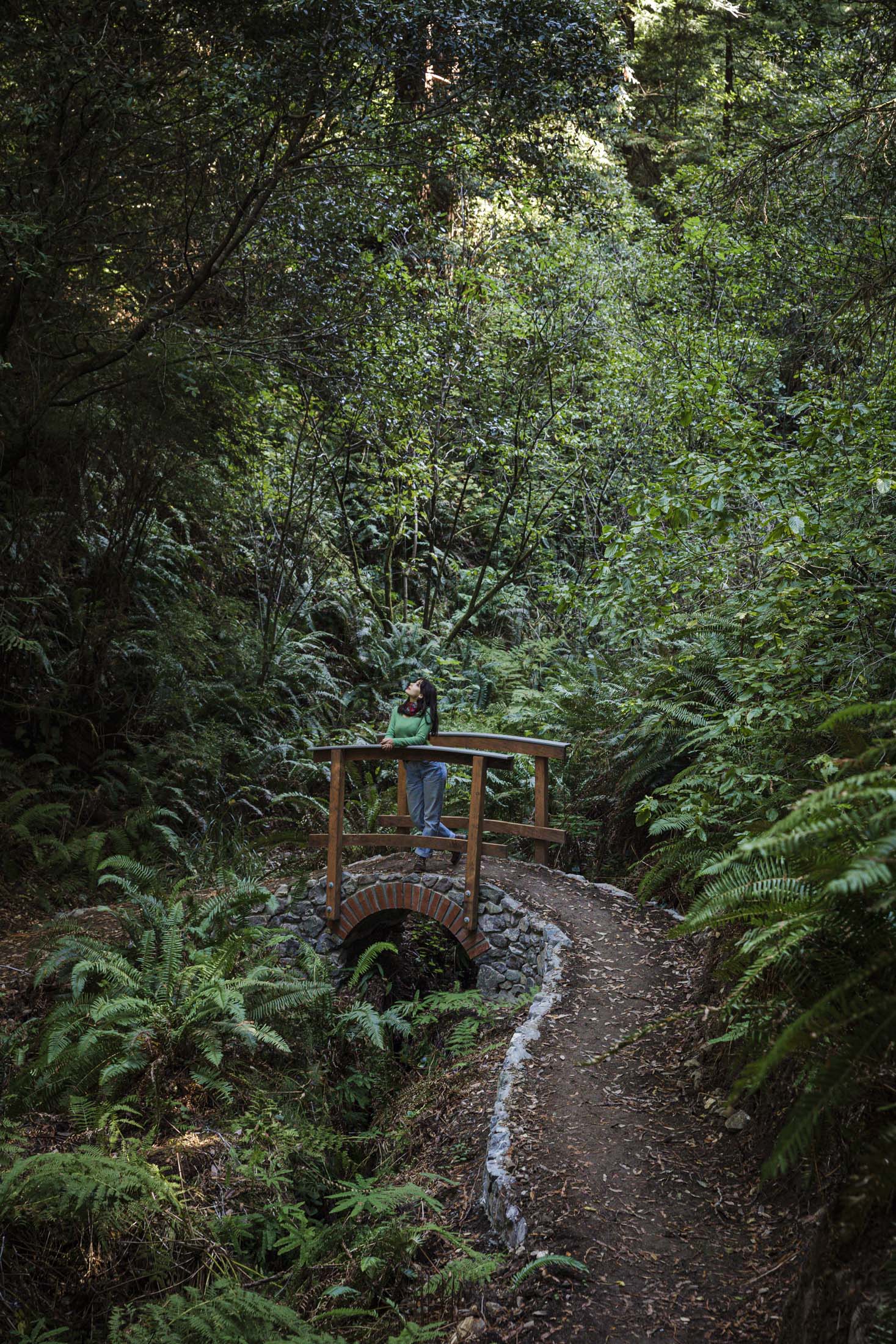 Woman on a Bridge in the Redwoods