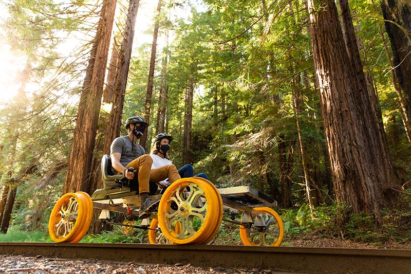 Railbikes in the Redwoods