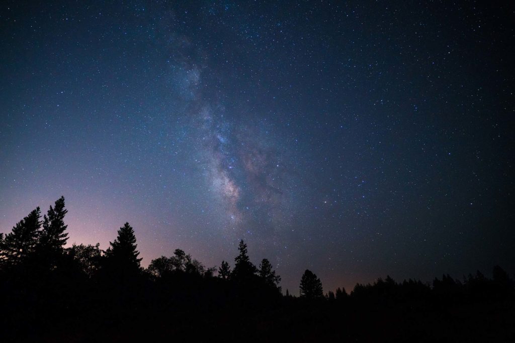Milky Way Over the Redwoods