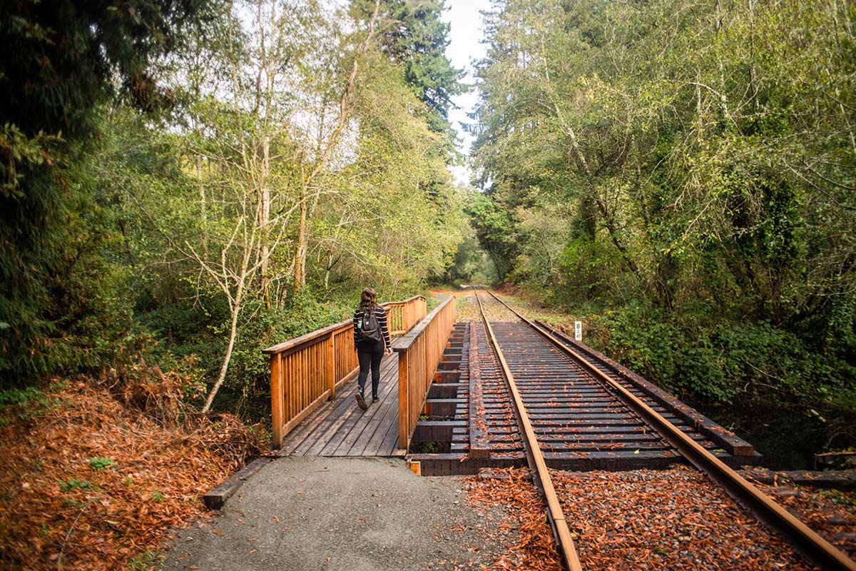 bridge-crossing