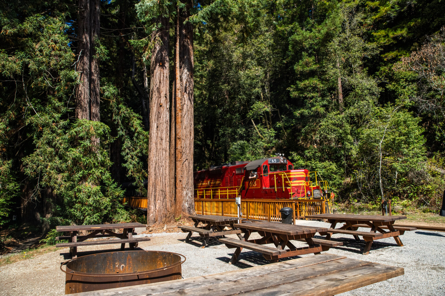 @Brendan-McGuigan_firepit-picnic-tables-and-train (1)
