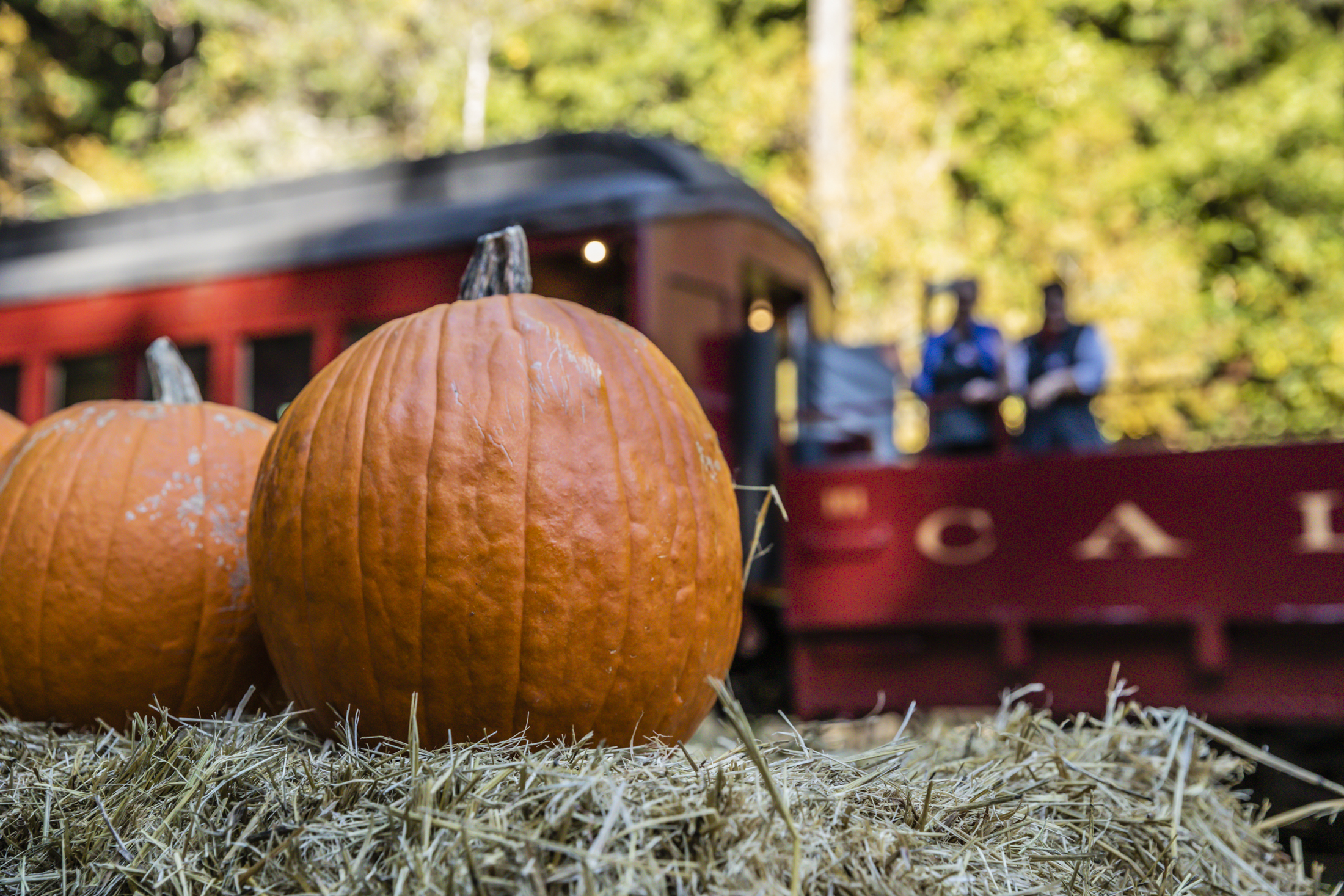 Pumpkin-Train-Patch-with-Train