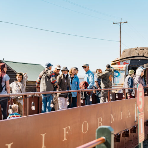 SKunk Train + Steam Engine