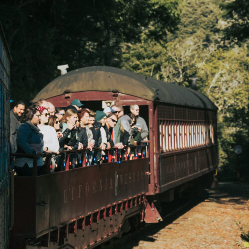 Visit Mendocino + Skunk Train 2024