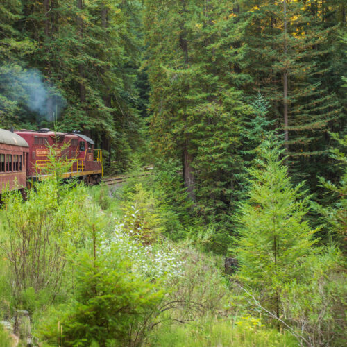 WTT - #64 Rounding a Bend