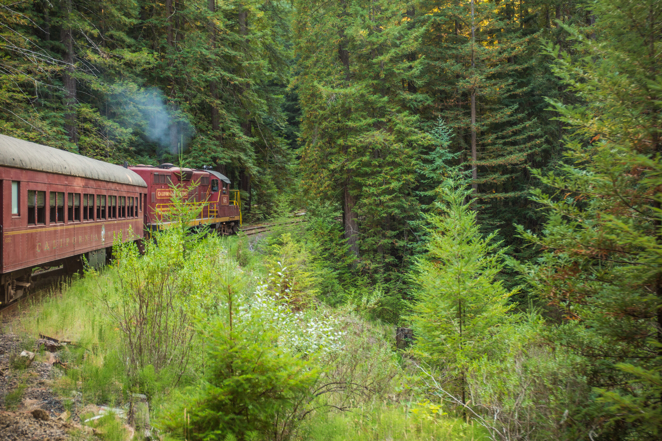 WTT - #64 Rounding a Bend