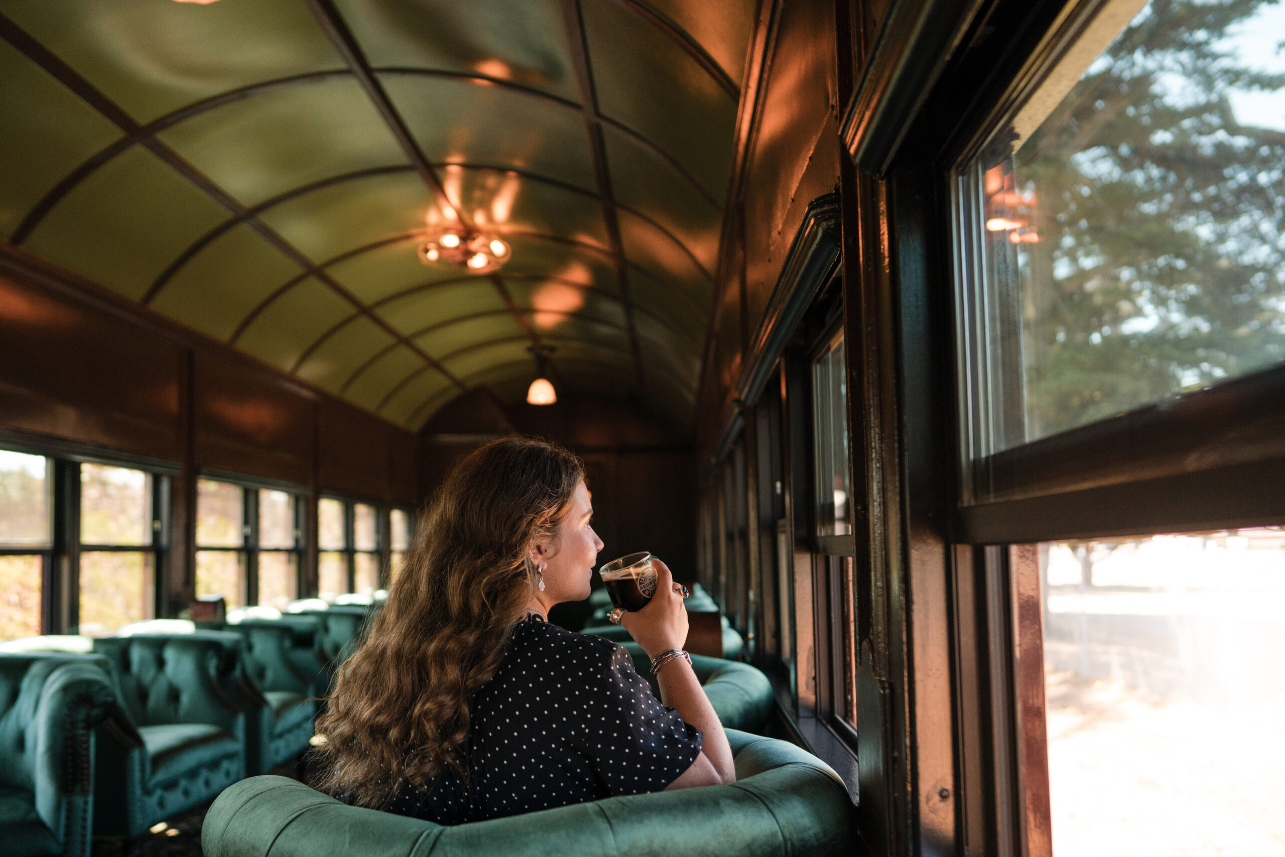 skunk_train_presidential_class_car_8_15_25_nik_z_phoro-87 (1)